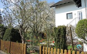 Apartement Am Kirschbaum