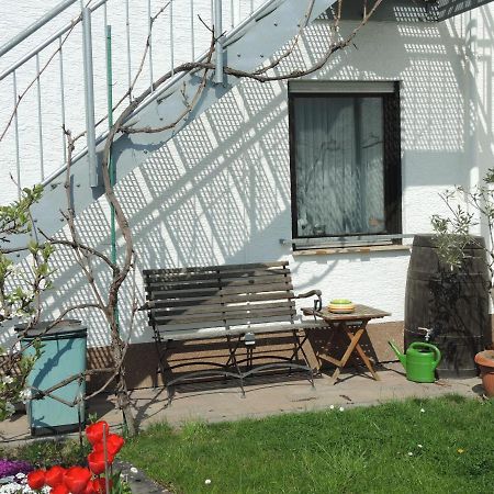 Apartement Am Kirschbaum Mommenheim Buitenkant foto