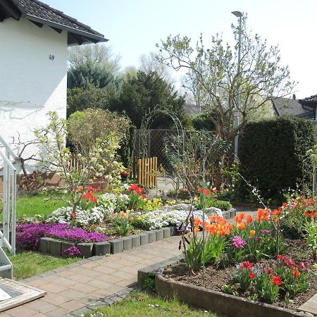 Apartement Am Kirschbaum Mommenheim Buitenkant foto