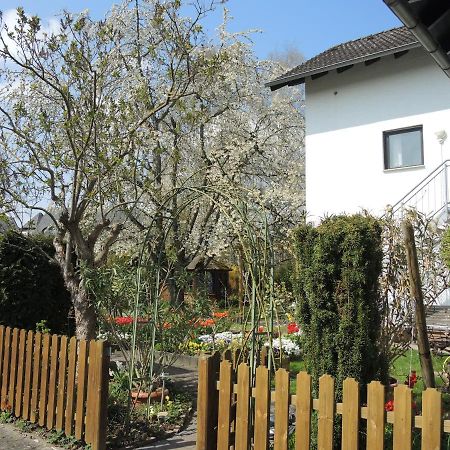 Apartement Am Kirschbaum Mommenheim Buitenkant foto