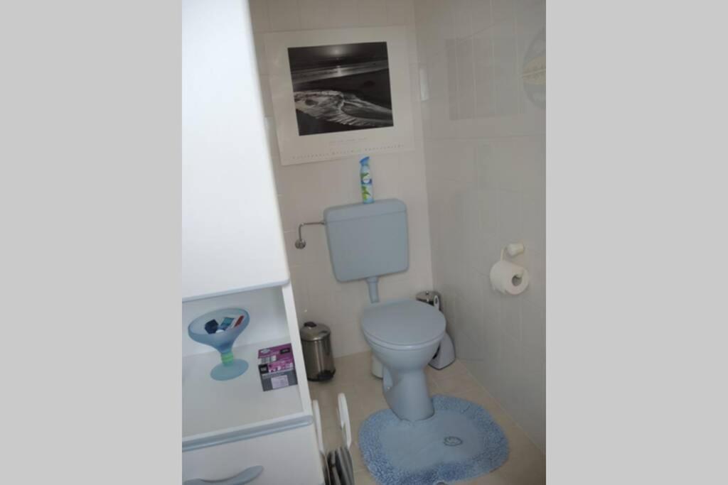 Apartement Am Kirschbaum Mommenheim Buitenkant foto