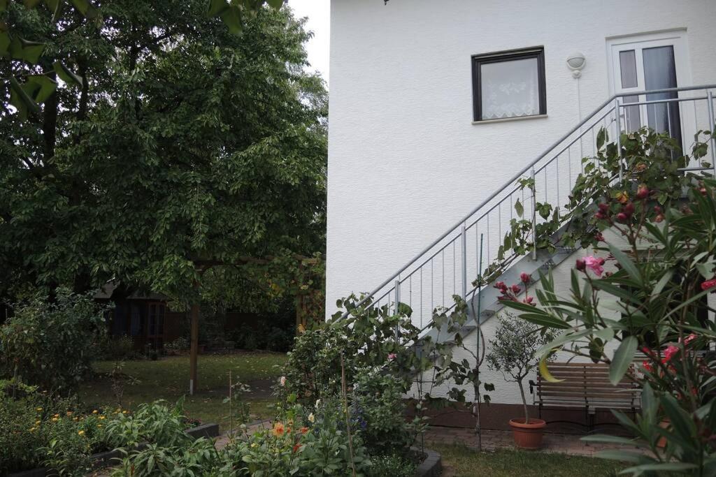 Apartement Am Kirschbaum Mommenheim Buitenkant foto